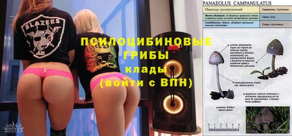 apvp Гусь-Хрустальный