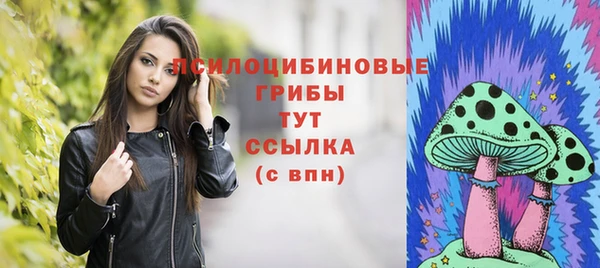 прущие крисы Горняк