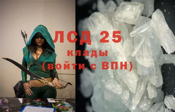 прущие крисы Горняк